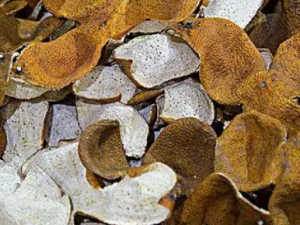 ����������ǻ���г�ҩ����Щ