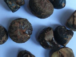 ��̴�ӵ�ʹ�ý��� ��̴������Щ��Ч