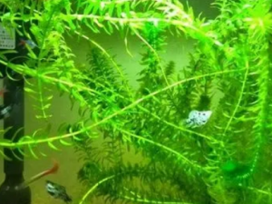 ���ݵ�ʹ�ý��� ��������Щ����