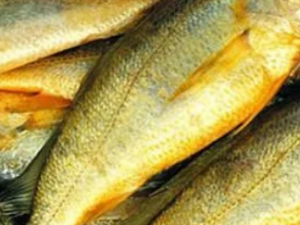 ʳ�ûƻ���Ľ��� ��Щ�˲���ʳ�ûƻ���