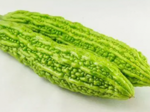 �Կ�ϵ��������� ��Ͽ����Ƚ���