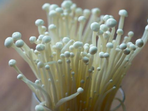 ���빽�����˻��ܳ��� ���빽�������Ǳ�����