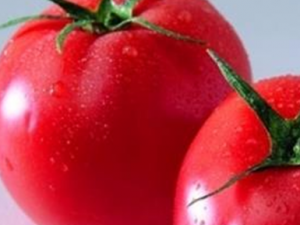 �����ѡ�������� ʲô��������������