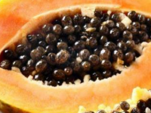 ľ������Щ���ݹ�Ч ľ��Ҳ��������