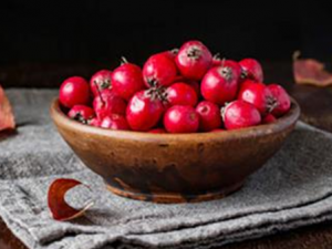 ���������ע����ʳ �����˵���ʳ����