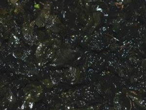 ��Ƥ�˵����� ��Ƥ����ô���ó�