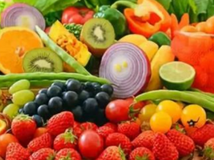 �ļ�Ӧ������� ��������������ʳ��