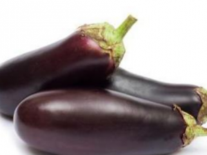 ������������������ �������ӹ�����Σ��