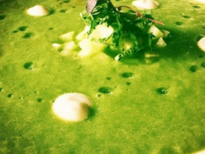 ��ζ�������������� �����������ζ����������