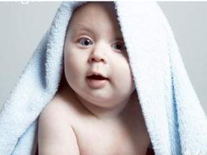 С��ݡ����������� С��ݡ�������Ʒ���