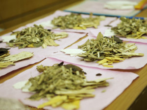 ����ҩ��������15������ һ����������