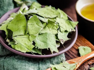 ���������Ľ�������Щ ��������Ҫע��