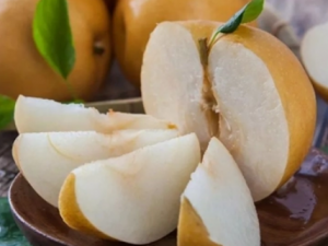 ��������ҩ������Щ���� �����ʳ�ù�Ч