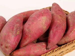 Ϊʲô�ᷢ�������ڷ��� ���������Ԥ������