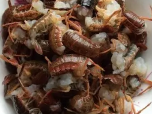 Ϻ��Ǯ�Ĺ�Ч Ϻ��Ǯ��С��ʳ������