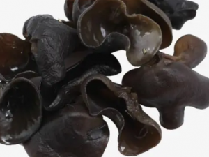 ľǧҪҳ  Щ˳ľҪע