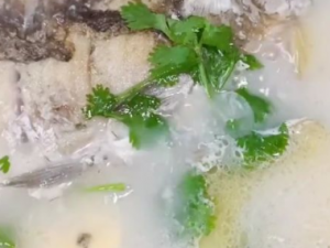 ���������������� �������ζ������������