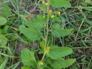 �����ݵĹ�Ч ��������������