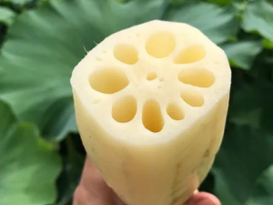 ź��ô������� ��ź���β���