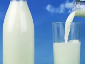 ���������˺�ţ�� ϸ����ţ�̵ļ���ҥ��