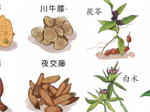 �ļ�������ô�Բ��ܳԳ�����