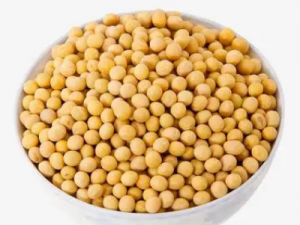 ��ô�Դ��������� 6����Ⱥ���˳��Դ���