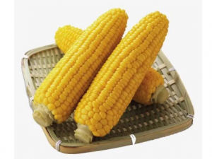 ��������Щ���� ����������Щ�ô�