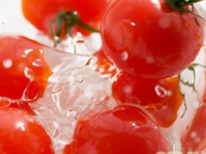 һ���������ܷ�4�ְ� һ����������