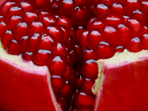 Ѫ�Ǹߵ�����ν�Ѫ�� ��ʲô���Խ�Ѫ��