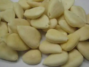 ��α���ʳ���ж� �⼸��ʳ�ﲻ���ҳ�