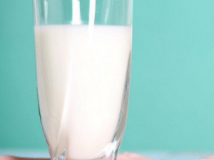 ţ��ԽŨӪ��Խ���� �ճ���ѡţ�̵ķ���