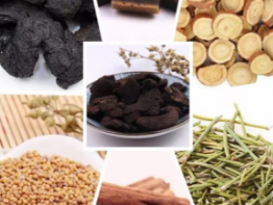 ����������Щ��ҩ��� �������Ĺ�Ч����