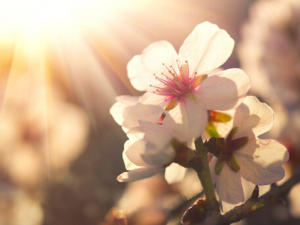 ��������Ϊ�λ�����Ϯ�� �������ļ��������������