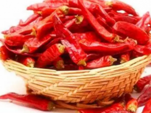 ϸ�������е�ʳ�ƽ��� ��ʳһ��Ҫ�ر�ע��