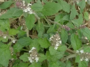 ���㵨�ݵ�������� ���㵨�ݵ�����