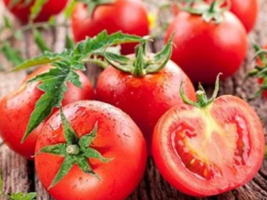 ���������Կ����� ���˲���������������ԭ��