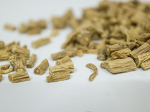 ʳ�õ��ε�ע����������Щ ���εĹ�Ч