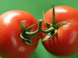 ��Щʳ�ﲻ�ܺ�������һ��� ��������ʳ�ý���