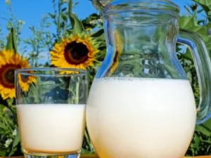 �������ܺ�ţ���� ��ţ�̵�����Ҫע��