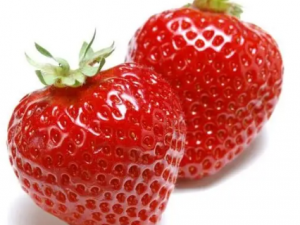 �Բ�ݮ������������Щ�ô� �Բ�ݮ�ɷ�ֹ����