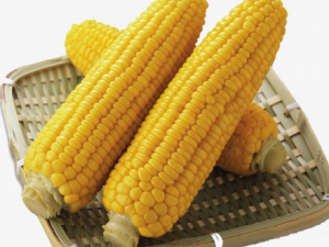 �＾��ʲô�������׺� ��γ����׳Գ�����