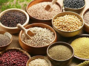 �����ô���� ���ڳ�Ҳ��Σ��