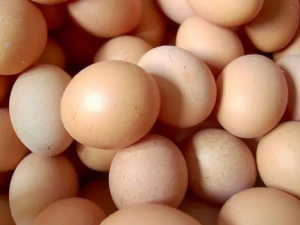 ��������ЩӪ�� ��ͬ��Ⱥ�����ȷ�Լ���