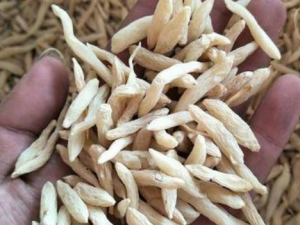 ������Щ��Ч �󶬵�ʳ�÷���