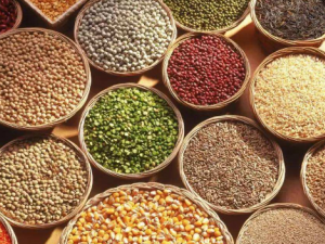 ��Դ��������ֽ����� �����е���ʳ���������˶���