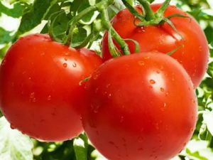 û����������ܳ��� ��ô�ж��������Ƿ�����