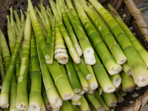 ��������� ��ô������ó�