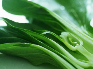 �����������߲˵ĺô�