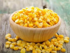 һЩʳ������������ һ��������������Щʳ���