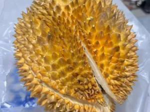 ������ǧ���Ⱦ� �����Ĵ������